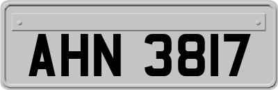AHN3817