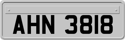AHN3818