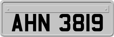 AHN3819