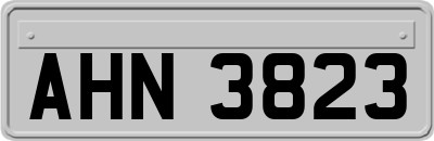 AHN3823