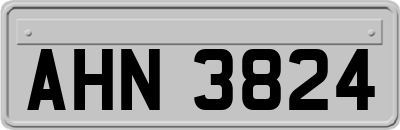 AHN3824