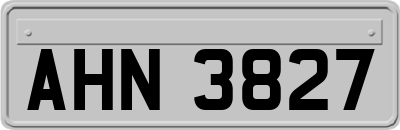 AHN3827