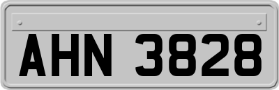 AHN3828