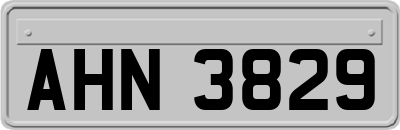 AHN3829