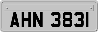 AHN3831