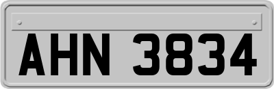 AHN3834