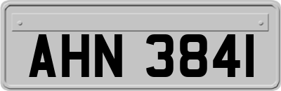 AHN3841