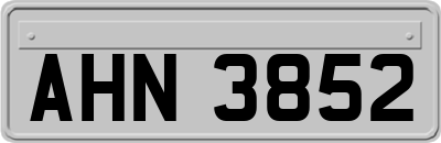 AHN3852