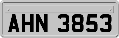 AHN3853
