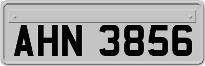 AHN3856