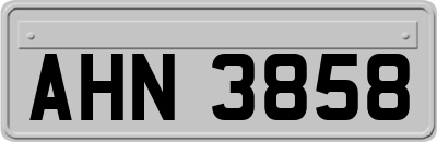 AHN3858
