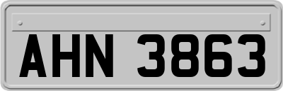 AHN3863