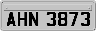 AHN3873