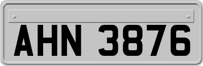 AHN3876