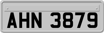 AHN3879