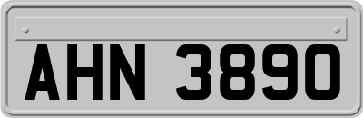 AHN3890