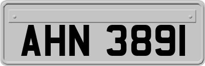 AHN3891