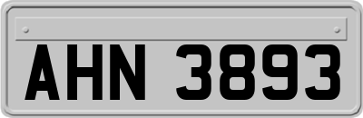 AHN3893