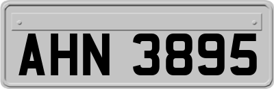 AHN3895