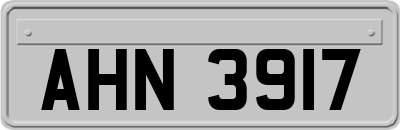 AHN3917