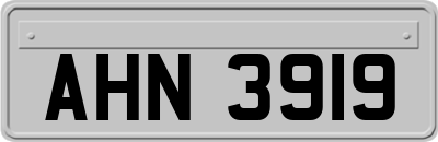AHN3919