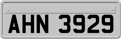AHN3929