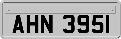 AHN3951