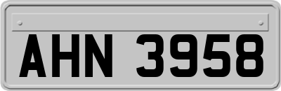 AHN3958