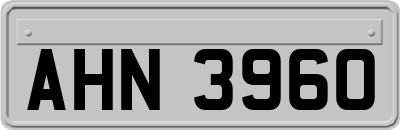 AHN3960