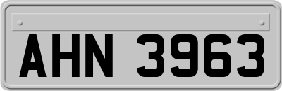 AHN3963
