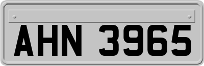 AHN3965