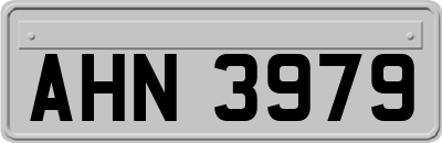 AHN3979