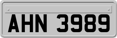 AHN3989