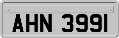 AHN3991