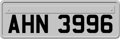 AHN3996
