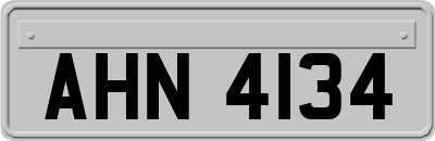 AHN4134