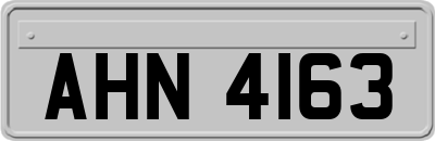 AHN4163