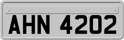 AHN4202