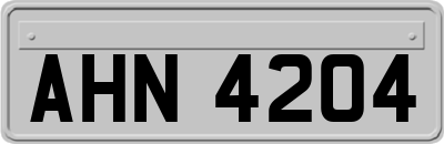 AHN4204
