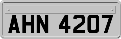 AHN4207
