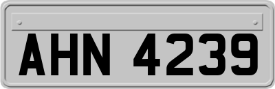 AHN4239