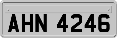 AHN4246