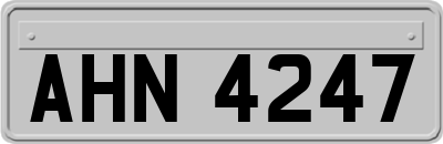 AHN4247