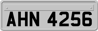 AHN4256