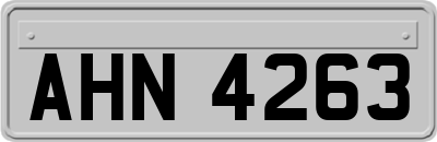 AHN4263