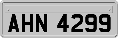 AHN4299
