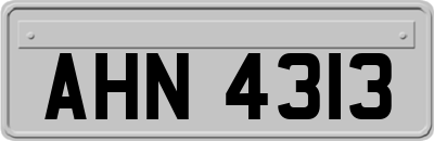 AHN4313