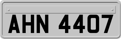 AHN4407