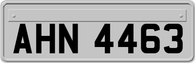 AHN4463