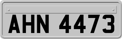 AHN4473